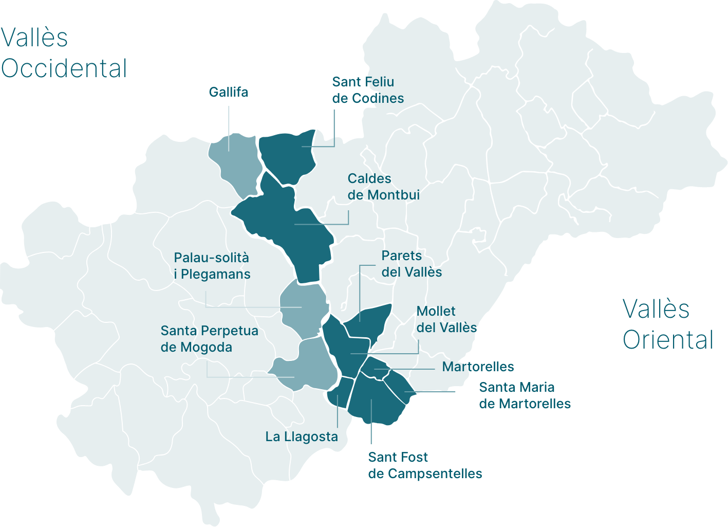 Infografia de L'FSM en xifres