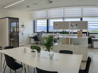 formació salut planetària