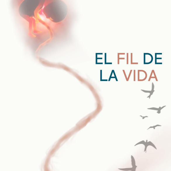 II Jornada d'Ètica C-17