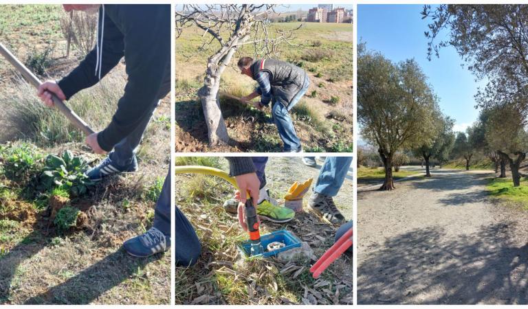 Imatges de Les persones usuàries del Servei de Rehabilitació Comunitària de Salut Mental apadrinen el Parc dels Pinetons