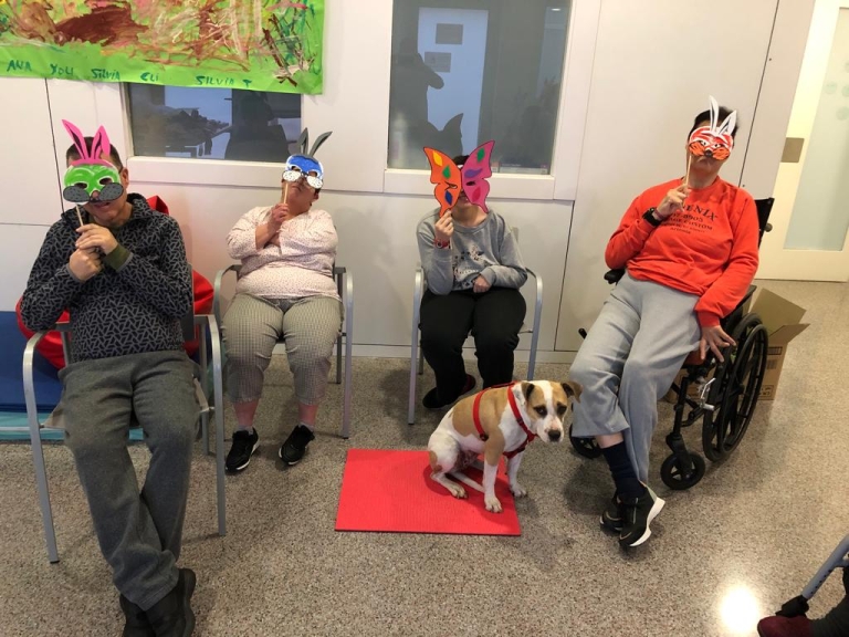 TAA i Carnestoltes TAA i Carnestoltes