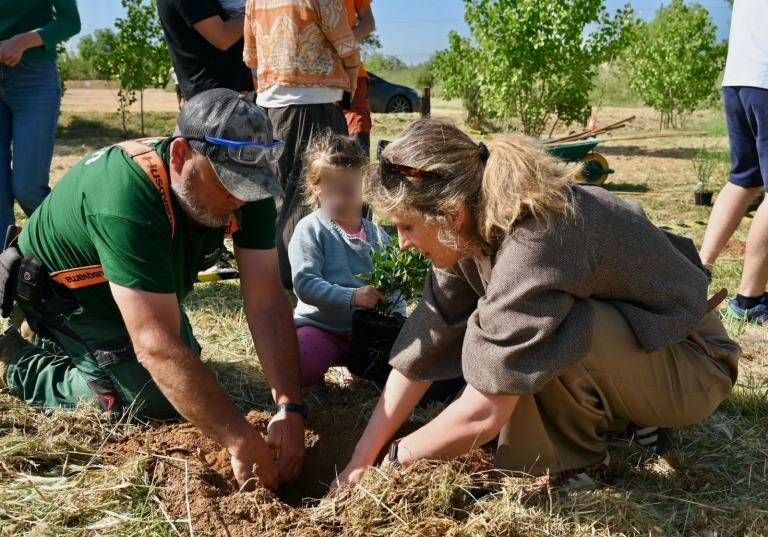 Un arbre per a cada nadó 1